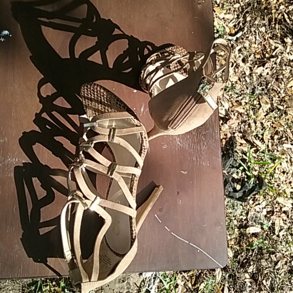 Carlos By Carlos Santana Stilettos Size 6.5 Exotic